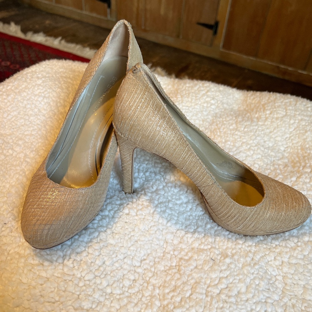 BC BG pumps